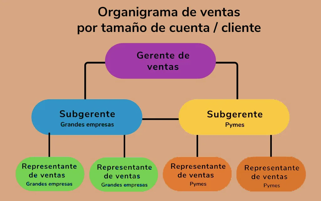 Organigrama del departamento de ventas por tamaño de cuenta / cliente