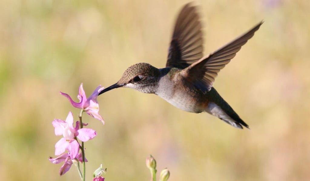 LPL Financial’s “What If You Could” Campaign Breaks Ground